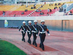 體育賽事安保服務